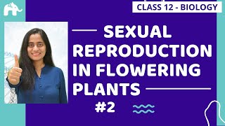 PLUS TWO BASIC BIOLOGY  CHAPTER 1 PART 1  Sexual Reproduction in Flowering Plants  EXAM WINNER [upl. by Airdnazxela781]