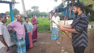 Demonstration On Anthracnose Disease Management In Sorghum  RAWE [upl. by Charlie931]