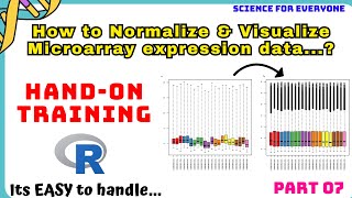 What is Normalization amp HOW it is Performed  HandOn Training  Theory  Practicle [upl. by Allana]