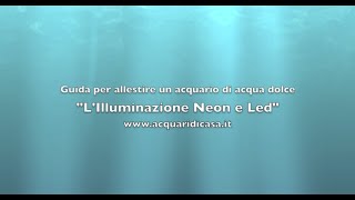 LIlluminazione Neon e Led Guida per allestire un acquario di acqua dolce [upl. by Pfister]