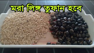 Alkushi and masakalai pulses  কত সময় ধরে সময় দিচ্ছেন নিজেই ভুলে যাবেন অবশেষে বউ ক্ষমা চাইবে [upl. by Owades]