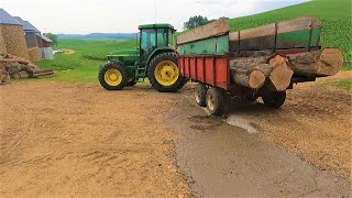 Hauling Large Oak Logs To The Sawmill [upl. by Aiclid]