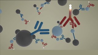 AIAPACK Test Cup Reagent Technology  Animation [upl. by Constanta]