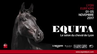 EQUITA LYON 2017  Je rencontre Cassandre Rêve Compulsif [upl. by Habas]