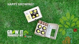 Microgreens Grow It Yourself GIY Kit [upl. by Licha688]