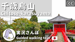 【実況街ブラ】世田谷の小京都！？千歳烏山をお散歩してみた！えるもーる烏山も。 Japan Walking Tour of Chitosekarasuyama Station [upl. by Pihc]