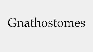 How to Pronounce Gnathostomes [upl. by Ardy759]