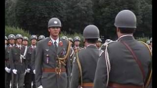 Official Parade in Vienna [upl. by Gabey]