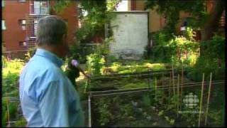 Histoire des jardins communautaires de Montréal [upl. by Olive442]