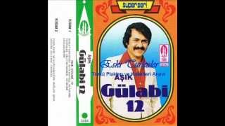 Aşık Gülabi Sefil Baykuş  Orjinal Kayıt Eski Türküler [upl. by Tedra]