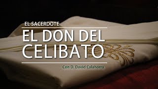 ES  D David Calahorra El don del celibato [upl. by Omolhs]