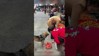 ¡No creerás lo que hace este perro en el mercado 😱🛍️ [upl. by Isidora299]