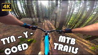 Tyn Y Coed MTB Trails  Epic Fun [upl. by Einalem]