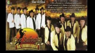 Los Salvajes de Chihuahua  Mi Nueva Cumbia [upl. by Nohtanhoj]