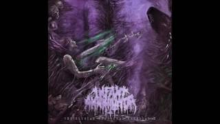 Infant Annihilator  Unholy Gravebirth 2016 [upl. by Ycnay]