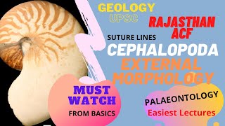 CEPHALOPODS External Morphology SUTURE LINES  Geology Plaeontology UPSCOptional RPSC ACF [upl. by Locklin]