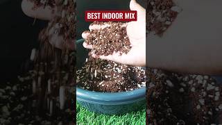 Indoor Potting Mix gardening indoorplants homedecoration diy snakeplant shorts [upl. by Leacock]