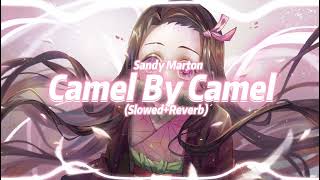 Sandy Marton  Camel by Camel Ankha Slowed  Reverb [upl. by Ellerol529]