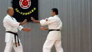 uechi ryu the shinjo dojo demo okinawa ווייצי ריו קראטה הדגמה מדהימה [upl. by Otrebmal]