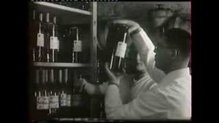 Manufacturing Homeopathic Medicines with Jean Boiron [upl. by Dunkin]