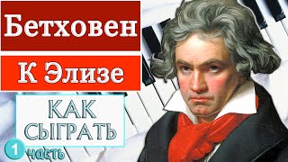 К Элизе на пианино обучение Урок №1 как играть разбор туториал легко медленно для начинающих ноты [upl. by Ettevahs]