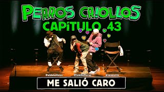 PERROS CRIOLLOS  ME SALIÓ CARO CAP 43 [upl. by Eciryt]