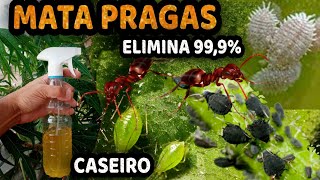 MATE TODAS AS PRAGAS DAS SUAS PLANTAS com Este Inseticida Caseiro Eficaz [upl. by Collette]