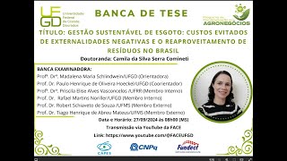 Gestão sustentável de esgoto custos evitados de externalidades negativas [upl. by Fiona208]