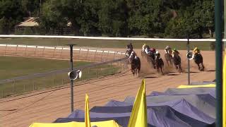 Gympie 20240615 Race 1 [upl. by Islean]