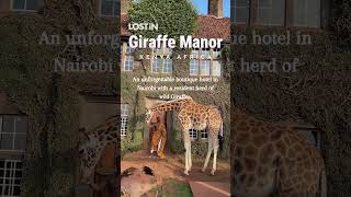 Giraffe Manor  Kenya Africa [upl. by Gnivri225]