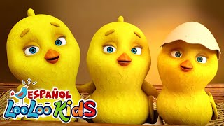 🐤🐥Los Pollitos Dicen Pio Pio y muchas más canciones infantiles Con Amigos  Canciones Para Niños [upl. by Bakerman]