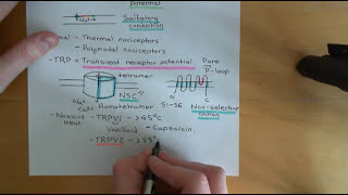 Pain and Analgesic Drugs Part 3 [upl. by Eelanna]