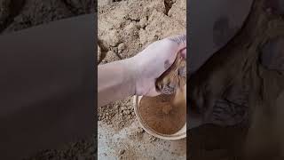 Satisfying yellow sand dry crumbling asmr asmrsounds viral [upl. by Madanhoj]