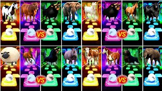 Funny Horses 🆚 Funny Gorts 🆚 Funny Sheep 🆚 Funny CowWho In The Best👍Coffin Dance Song🎼 [upl. by Natye]