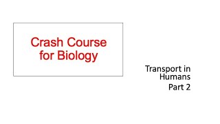 Crash Course O and N level Biology 8B Transport in Humans Part 2 [upl. by Nalym77]