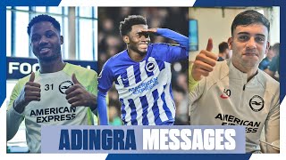 Brighton Playerss Messages To AFCON Winner Adingra 🏆🇨🇮 [upl. by Sandler]