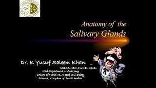 Anatomy  Salivary Glands  Parotid SubMandibular amp SubLingual  Dr Yusuf [upl. by Mattie]