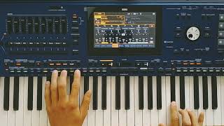 Danekoo1  Love And Love  Instrumental Euro Disco  Korg Pa5x Musicant [upl. by Spalding]