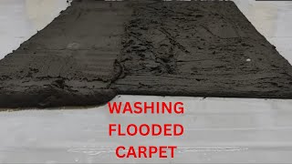 steam cleaning carpet satisfying  Deep Cleaning Your Rug at Home  Flooded carpet [upl. by Eillen307]