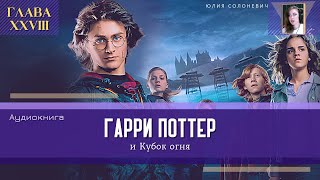 Гарри Поттер и Кубок огня 28 глава  Мистер Крауч сходит с ума  Аудиокнига ТОП [upl. by Niram]