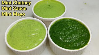 3 तरीके की हरी चटनी बनाने की विधि  Green Chutney Recipe  Mint Chutney  Mint Mayo  Chef Ashok [upl. by Atirhs]