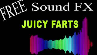 Free Sound Effects  10 Minutes of JUICY FARTS with AUDIO LEVELS  HD [upl. by Bhatt]