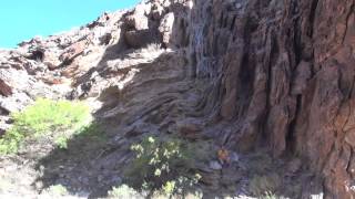 Monocline fold in the tapeats [upl. by Cheney]