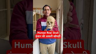 Human Real Skull  इंसान की असली खोपड़ी कैसी होती है viral trending shorts youtubeshorts shots [upl. by Toshiko26]