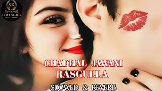 Chadhal Jawani Rasgulla neelkamal singh Slowed amp Reverb   BhojpuriLofi Song sklofisong [upl. by Katharina]