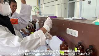 Praktikum Kimia Analisis  ANALISA ANION  Kelompok 1 [upl. by Alroi]