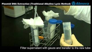 Plasmid DNA Extraction Traditional Alkaline Lysis Method [upl. by Yoong]