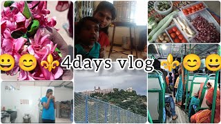 தமிழில்  Randam 4 days routine vlog 😊✨vendangai Puli kulambu recipe 😋🤤 [upl. by Sully993]