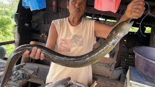 Unbelievable Long Eel Fish Skinning amp Cutting By Village Gandma  Fish Cutting Skills Sri Lanka [upl. by Llenrad]