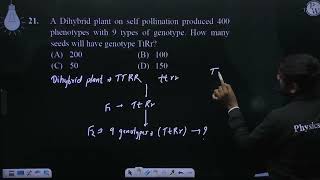 A Dihybrid plant on self pollination produced 400 phenotypes with 9 types of genotype How many [upl. by Anirav927]